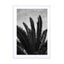 Palm Beach La Wall Art - Drawdeck