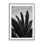 Palm Beach La Wall Art - Drawdeck
