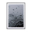 Summer Rain - Drawdeck