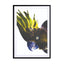 Birds of Paradise 08b Wall Art - Drawdeck