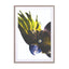 Birds of Paradise 08b Wall Art - Drawdeck