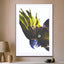 Birds of Paradise 08b - Drawdeck