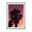 Palm Vibes - Drawdeck
