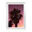 Palm Vibes - Drawdeck