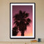 Palm Vibes - Drawdeck