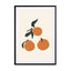 Oranges Wall Art - Drawdeck