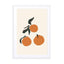 Oranges Wall Art - Drawdeck
