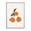Oranges Wall Art - Drawdeck