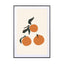 Oranges - Drawdeck
