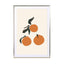 Oranges Wall Art - Drawdeck