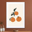Oranges - Drawdeck