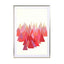 Indian Summer - Drawdeck