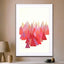 Indian Summer - Drawdeck