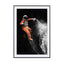ASTRONAUT - Drawdeck
