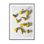 Bananas - Drawdeck