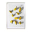 Bananas - Drawdeck