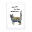 Cat Wall Art - Drawdeck