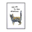 Cat - Drawdeck