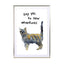 Cat - Drawdeck