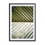 Palm Leaf Wall Art - Drawdeck