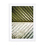 Palm Leaf Wall Art - Drawdeck