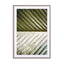 Palm Leaf Wall Art - Drawdeck