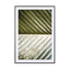 Palm Leaf - Drawdeck