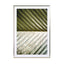 Palm Leaf - Drawdeck