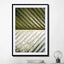 Palm Leaf - Drawdeck