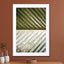 Palm Leaf - Drawdeck