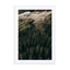 Calm Mornings – Edition 2 Wall Art - Drawdeck