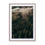 Calm Mornings – Edition 2 Wall Art - Drawdeck