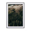 Calm Mornings – Edition 2 - Drawdeck