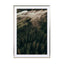 Calm Mornings – Edition 2 - Drawdeck