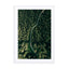 Street Through The Forest – Edition 2 Wall Art - Drawdeck