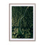 Street Through The Forest – Edition 2 Wall Art - Drawdeck