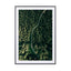 Street Through The Forest – Edition 2 - Drawdeck