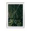 Street Through The Forest – Edition 2 - Drawdeck