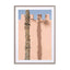 Wall and a palm tree in Marrakech Wall Art - Drawdeck