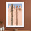 Wall and a palm tree in Marrakech - Drawdeck