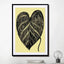 heart leaf - Drawdeck