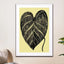 heart leaf - Drawdeck