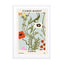 Flower Market Corfu Wall Art - Drawdeck