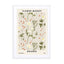 Flower Market Gdansk Wall Art - Drawdeck