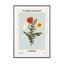 Flower Market Porto - Drawdeck