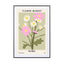 Flower Market Rome - Drawdeck