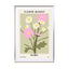 Flower Market Rome Wall Art - Drawdeck