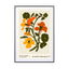 Flower Market. Copenhagen - Drawdeck