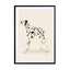 Pandc Dalmation Wall Art - Drawdeck