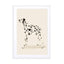 Pandc Dalmation Wall Art - Drawdeck
